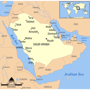 Saudi Arabia's KSA could save up to $26.7 billion!
